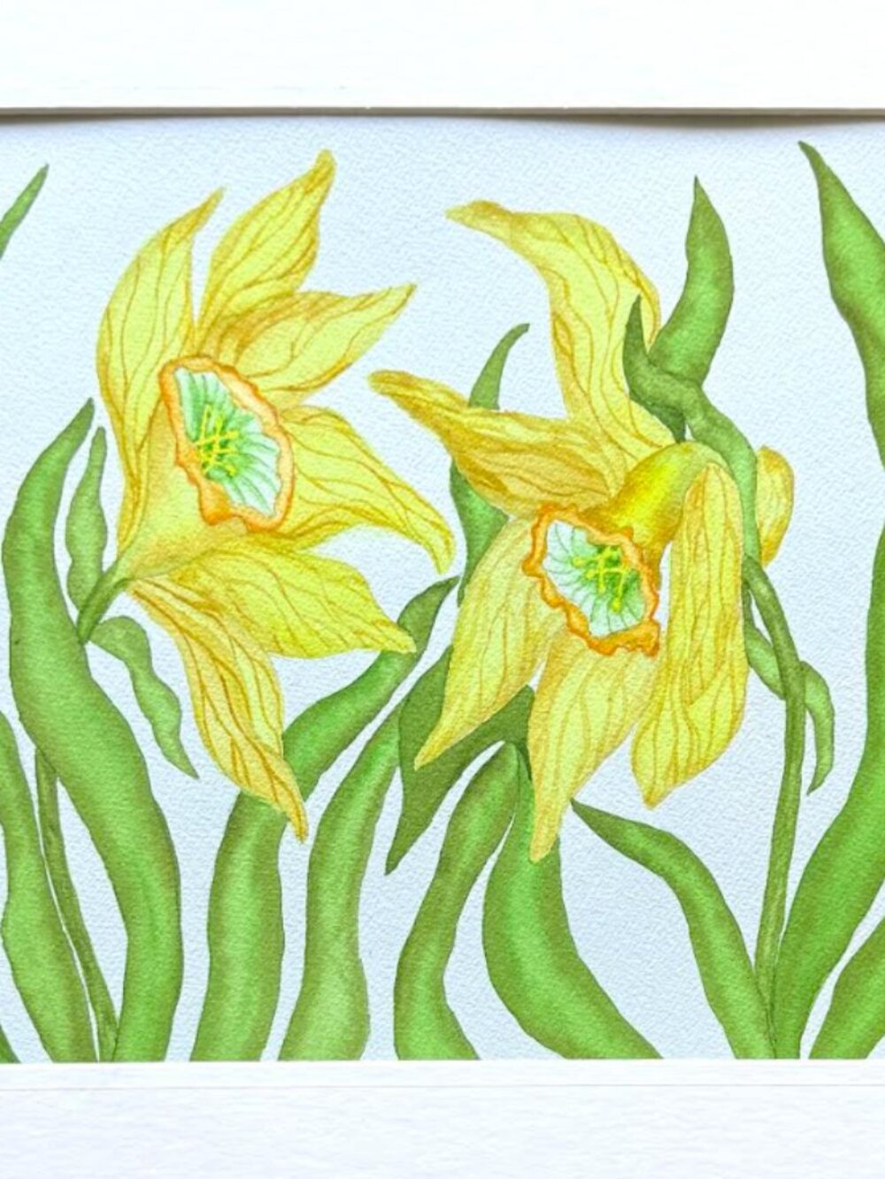 Painting Watercolor Flower Daffodils Yellow Green 11x14 & Mat 16x20 Original Art